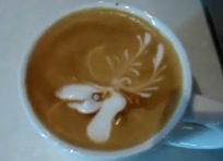 Moose in coffee 2
