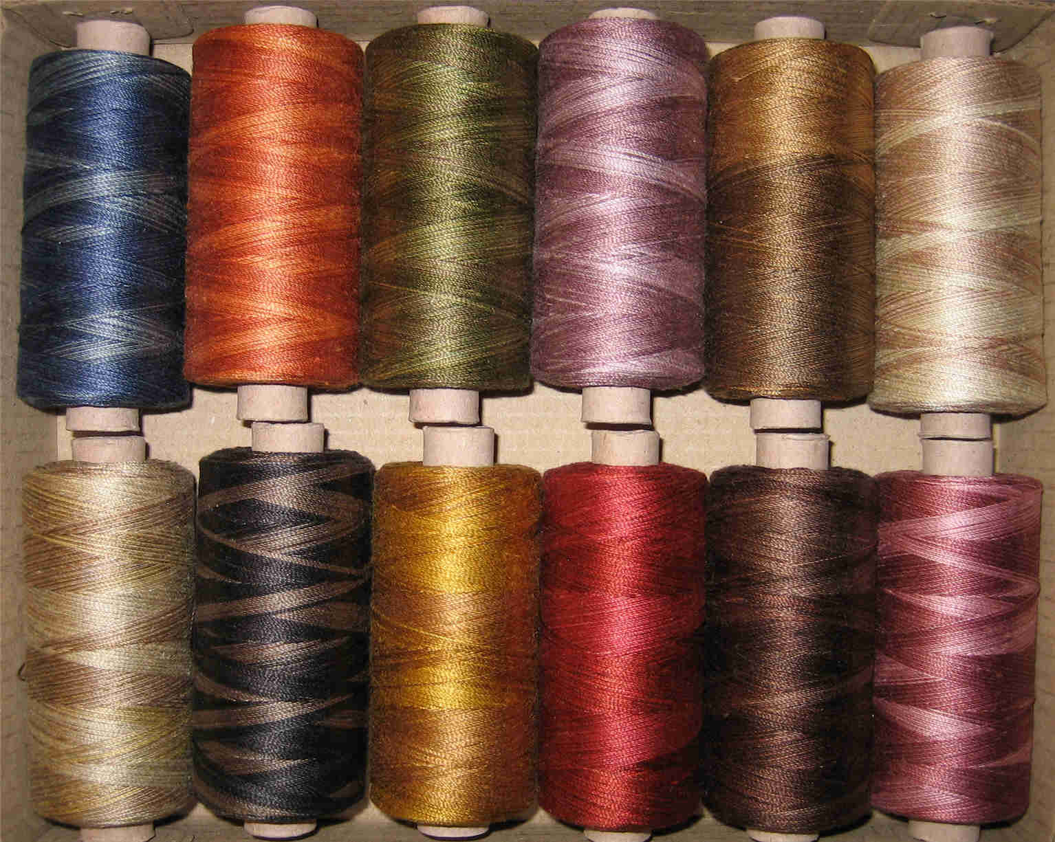 Valdani Jackie Paton, 35wt